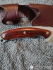 Buck Alpha 194 First Production Run 1 of 500