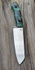 Outdoor knife Myotis.