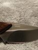 Buck 196 Mini Alpha Hunter w/ Sheath 