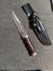 Magnum