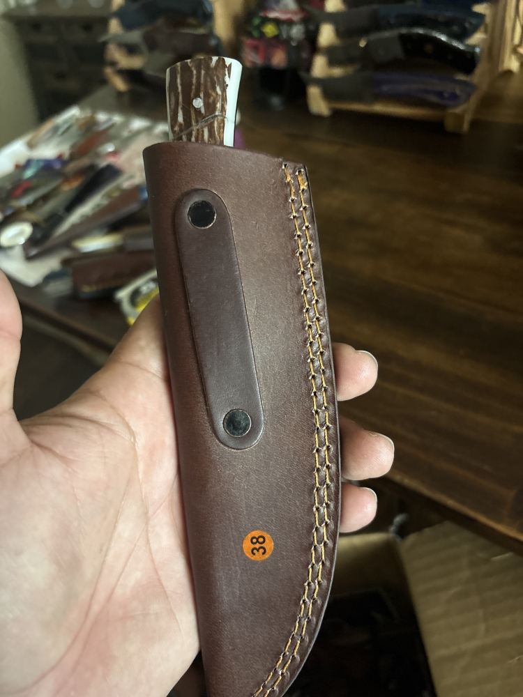 Fixed blade