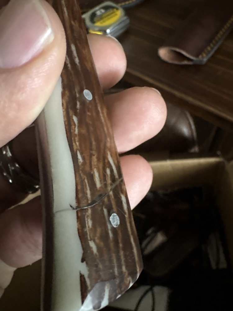 Fixed blade