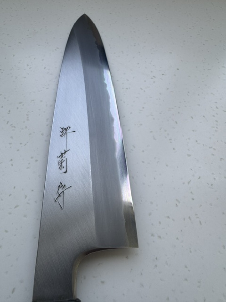 Nakagawa White #1 Stainless Clad Migaki Gyuto 240mm