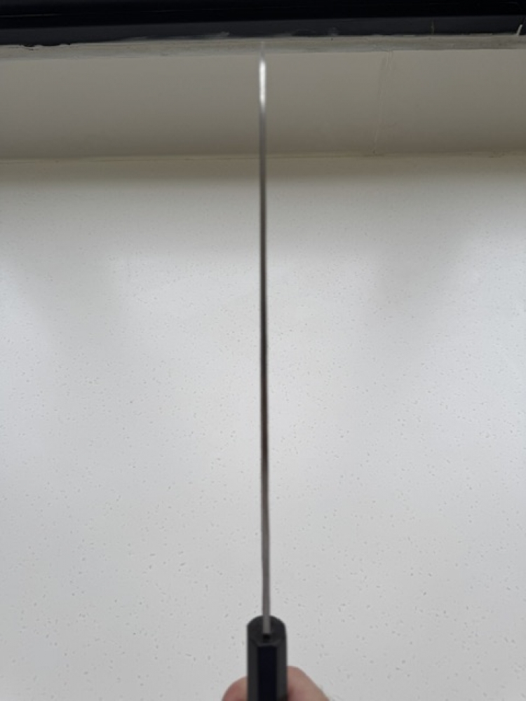 Isamitsu Aogami Super 240mm Gyuto