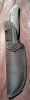 Gerber Moment Fixed Blade Hunting Knife