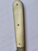 Antique Mother of Pearl Folding Fruit Knife Engraved Blade Sterling Silver with Hallmarks 5cm