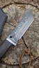Hand Forged 80CrV2 Tanto Nata 