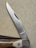 Schrade USA 77ST Improved Muskrat - Factory-Built Stag - Mint in Original Box - Complete