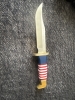 Buck knife 250th edition 