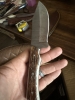 Fixed blade