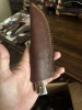 Fixed blade