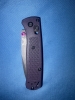 purple mini  Bugout