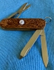 Custom Carved Victorinox \"Classic SD\" Swiss Army Knife Carved Collectors Pocketknife embedded with a MOONSTONE semi-precious Gemstone… (58mm / Global/European MPN 0.6223) 