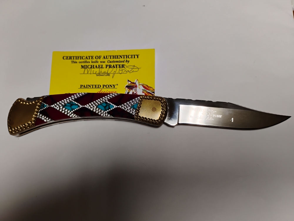 Painted Pony Buck 110 Folding Hunter 