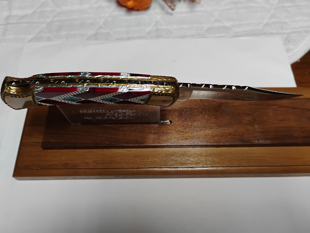 Painted Pony Buck 110 Folding Hunter 