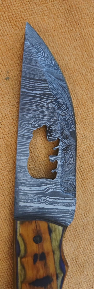 Bear Stamped Fixed-Blade