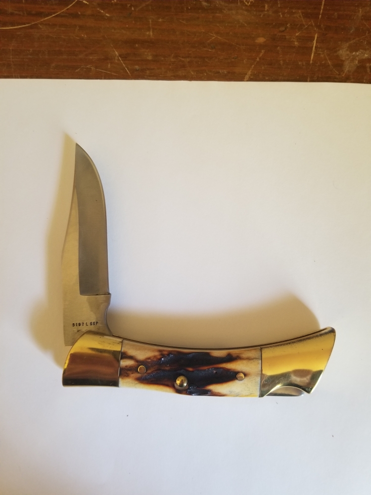 Case xx Shark Tooth Folding Hunter