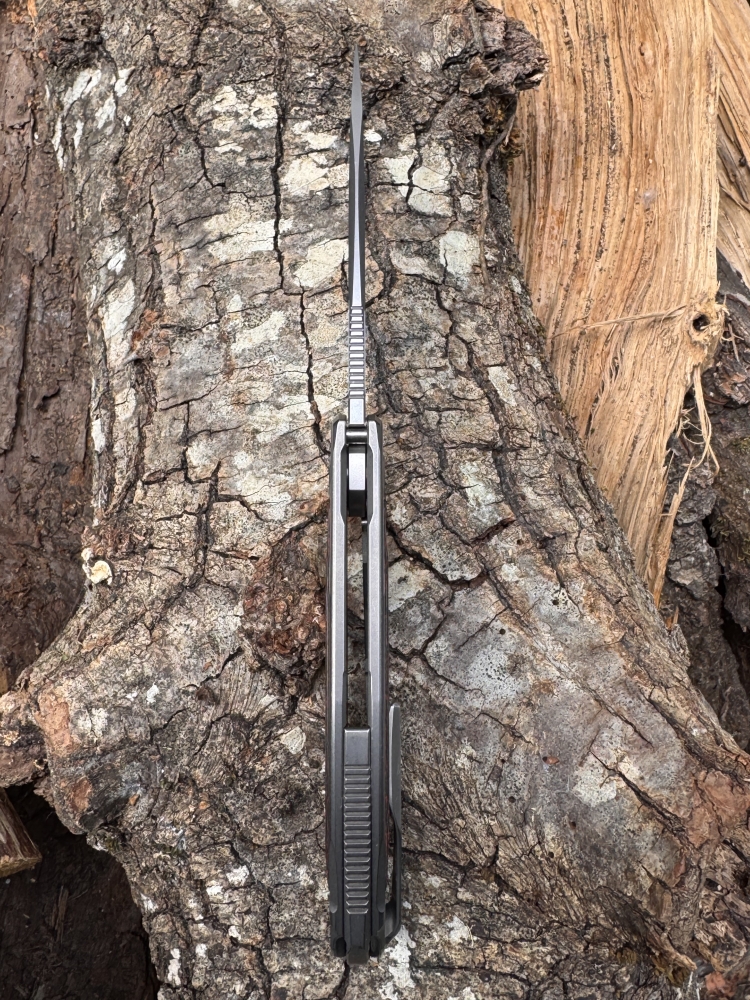 Shirogorov F95NL Mars Valley carbon M390