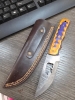 Bear Stamped Fixed-Blade