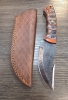 Reddish/Orange and Grey Fixed-Blade