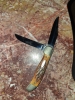 Vintage Case XX 6265 SAB stag bone handle