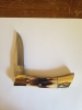 Case xx Shark Tooth Folding Hunter