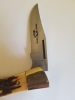 Case xx Shark Tooth Folding Hunter