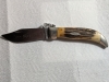    Case XX 5172 Stag Bulldog Clasp Knife 