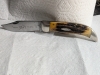    Case XX 5172 Stag Bulldog Clasp Knife 