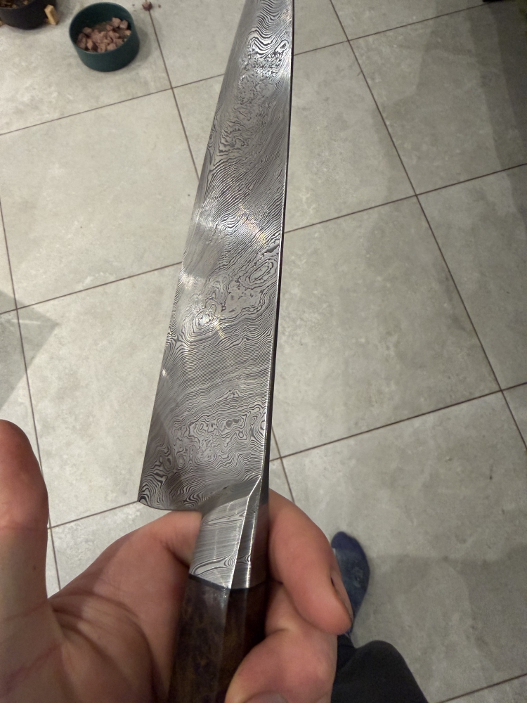 215 Integral Dense twist DCI