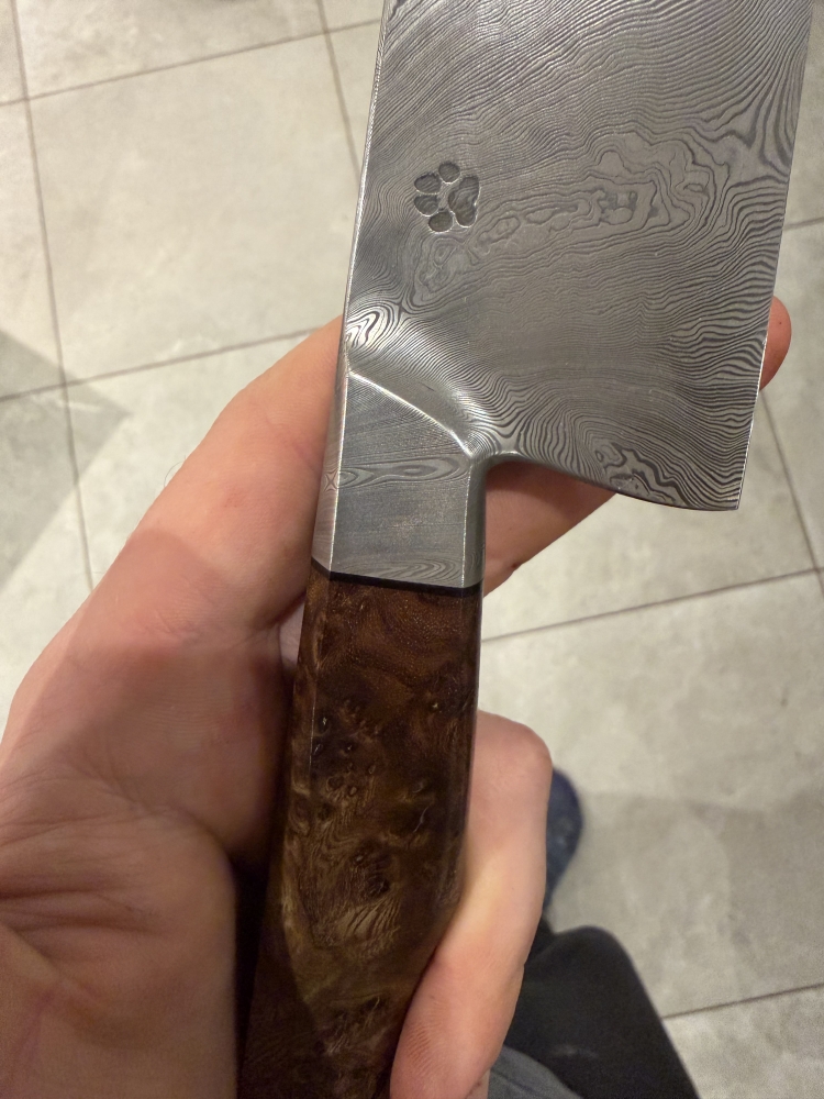 215 Integral Dense twist DCI