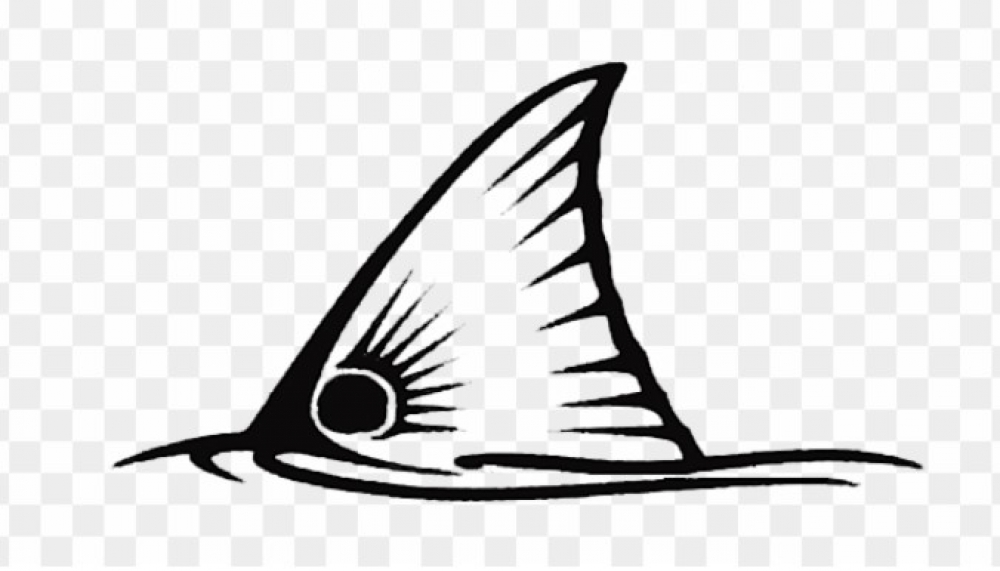 Fury Sitting Bull Folding Knife FP11041