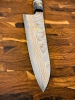  Hatsukokoro Irodori Rainbow Gyuto 21cm
