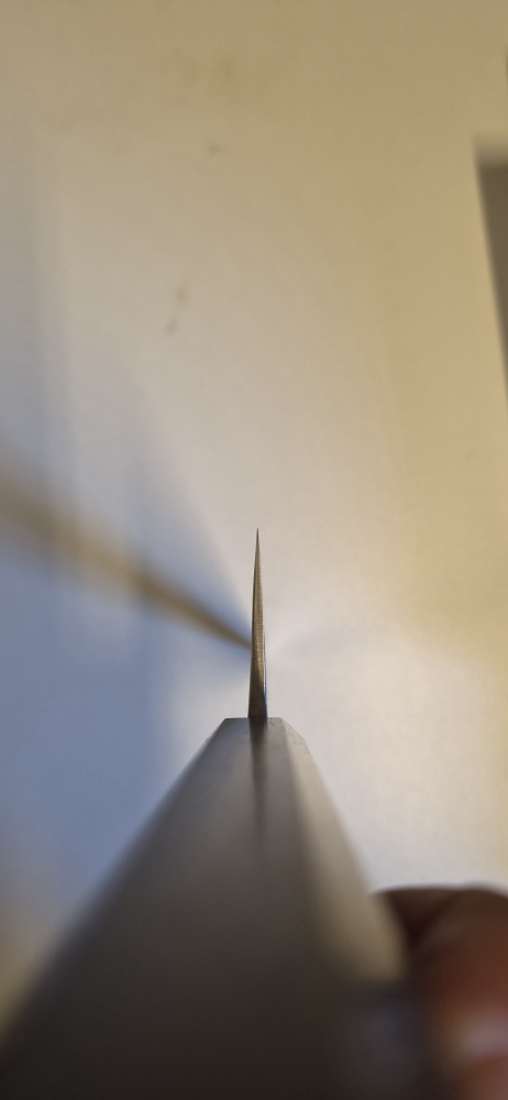 Hatsukokoro Kurokaze Kurouchi white 2 tall gyuto 210mm
