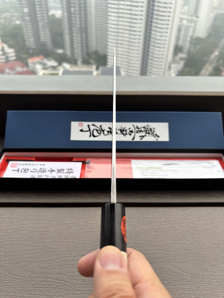  Tanaka Kazuyuki Tekka Gyuto 210 mm