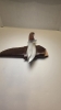 A fixed blade would handle D2 steel or 440C. Steel