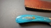 Fixed  blade