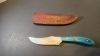 Fixed  blade