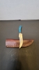 Fixed  blade