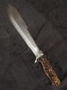 Ultra-Rare Vintage Aitor Survival 21 Knife (8 1/4\") with Genuine Stag Horn Handle