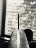 Restored Vintage Masahiro Bessaku 235mm gyuto/slicer