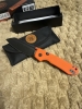 Vosteed raccoon a2931