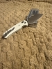 Bestechman cicada wing white