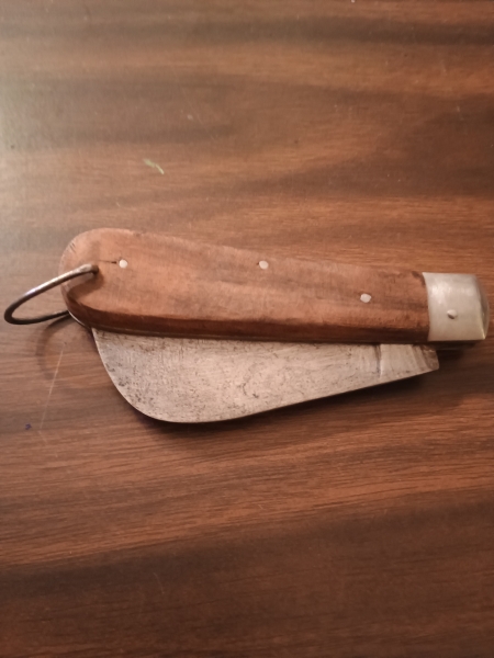 Folding pocket knife