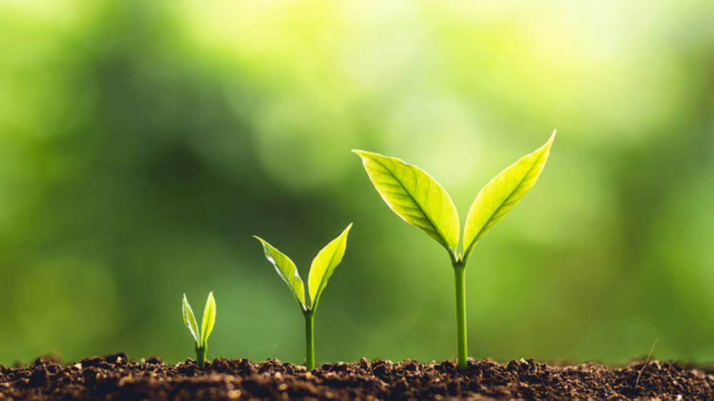 Ronel Grundling - media 677