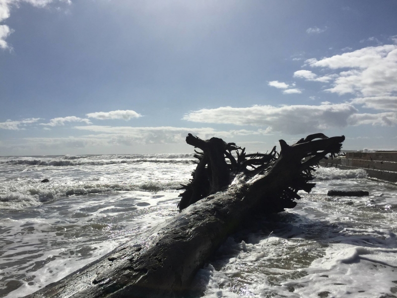 Gordon Hunkin - cover