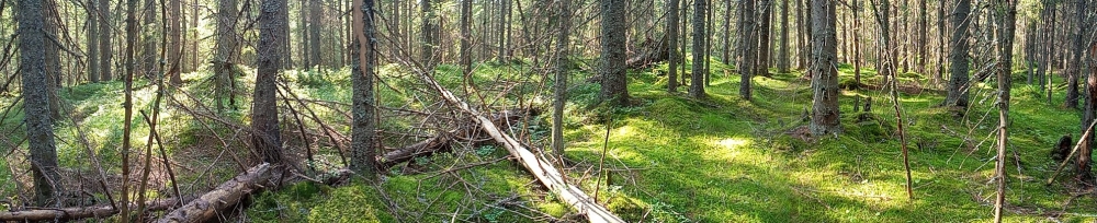 Jan Sølvberg - cover