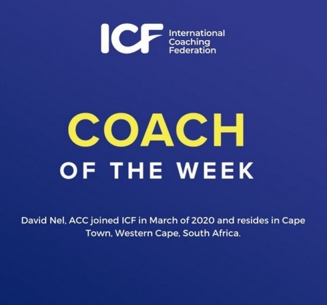 David Nel - media 572