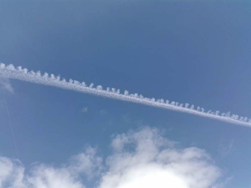 Catarina Mendes - cover