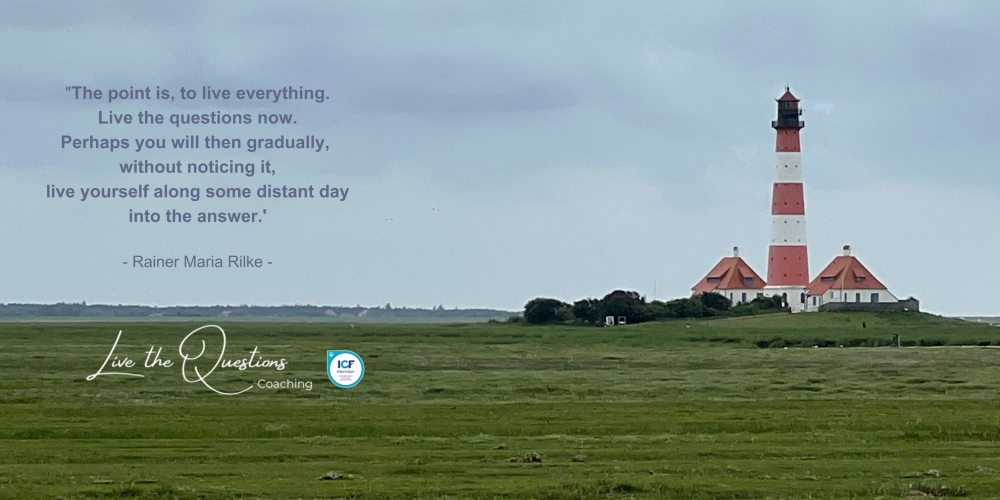 Hanri Mostert - cover